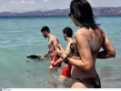 Νεαρό δελφίνι σε παραλία της Κορίνθου
