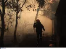 Πύρινη κόλαση σε Κάρυστο, Κέρκυρα, Αίγιο και Ρόδο – Πώς εξελίσσονται τα μέτωπα