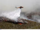 Φωτιά στη Βόλβη Θεσσαλονίκης