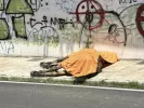 Υπόθεση νεκρού αλόγου στην Κέρκυρα
