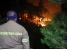 Δασική πυρκαγιά
