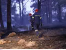 Φωτιές και πυρκαγιές