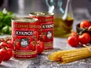 kyknos.jpg