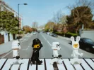 lego.jpg