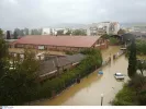 volos-bolos.jpg
