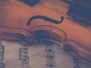 musician-2.jpg