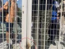 πόρτα 