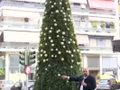 Χριστουγεννιάτικο δέντρο στα Σεπόλια