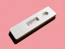rapid-test-2.jpg