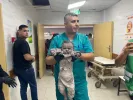 times-of-gaza.jpg