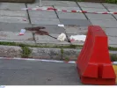 Θεσσαλονίκη: Με μια μαχαιριά σκότωσε ο Νορβηγός στον αστυνομικό