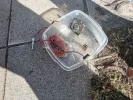 Εξουδετερώθηκε βόμβα κοντά στην έδρα των ΜΑΤ – Σχεδόν ένα κιλό εκρηκτικής ύλης σε τάπερ