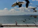Άστατος ο καιρός σήμερα – Υψηλές θερμοκρασίες και αφρικανική σκόνη