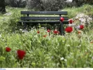 Καιρός άνοιξη