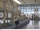 Μουσείο Ακρόπολης