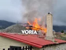 Φωτιά ξέσπασε στο Άγιον Όρος