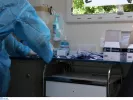 Τα δωρεάν σημεία για ράπιντ τεστ κορονοϊού