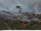 Μαίνεται για τέταρτη συνεχόμενη ημέρα η πυρκαγιά στα Πιέρια Όρη