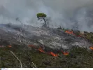 Σε ύφεση η μεγάλη φωτιά στην Ιεράπετρα - Στάχτη 2.000 στρέμματα