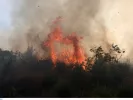 Σε εξέλιξη η δασική πυρκαγιά στα Πιέρια όρη για δεύτερη ημέρα