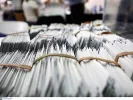 Ευρωεκλογές 2024: Τι ψήφισαν οι ομογενείς Έλληνες