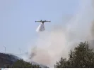 Φωτιές και πυρκαγιές