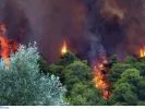 Προσοχή! Πολύ υψηλός κίνδυνος πυρκαγιάς αύριο σε Αττική και Εύβοια