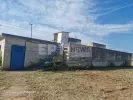 Σαλμονέλα