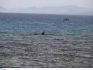 Σχοινιάς