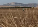 ΕΛΓΑ: Τελευταία ευκαιρία για 100 + 15 θέσεις εργασίας