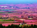 Τελευταία ευκαιρία για 50 προσλήψεις στον Δήμο Βέροιας