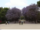  Εθνικός Κήπος