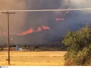 φωτιά στην Εύβοια