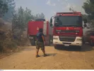 Φωτιά και πυροσβεστική