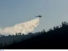 Φωτιά και πυροσβεστική