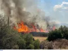 Πολύ υψηλός κίνδυνος φωτιάς σήμερα σε τέσσερις περιοχές: «Μέσα» και η Αττική