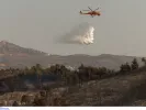 Φωτιά τώρα στις Ερυθρές Αττικής: Επιχειρούν και εναέρια μέσα