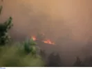 Πολύ υψηλός κίνδυνος πυρκαγιάς αύριο σε Αττική και άλλες 4 περιοχές