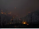 Προσοχή: Πολύ υψηλός κίνδυνος πυρκαγιάς αύριο σε Αττική και άλλες 7 περιοχές