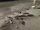 Νεκρά ψάρια στον Βόλο