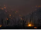 Προσοχή! Πολύ υψηλός κίνδυνος πυρκαγιάς αύριο - Οι περιοχές που κινδυνεύουν