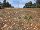 Ακαθάριστα οικόπεδα