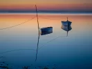 Τι σημαίνει η λέξη «αλαργινός»