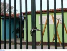 Σχολεία: Πότε ξεκινούν οι διακοπές του Πάσχα για τους μαθητές