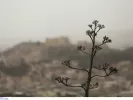 Καιρός: Με ζέστη, βροχές και αφρικανική σκόνη η Μεγάλη Εβδομάδα