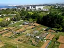 Θεσσαλονίκη: Πώς θα αποκτήσετε λαχανόκηπους στο ΑΠΘ