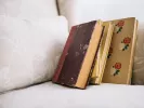 Τι σημαίνει η λέξη «αναλκής»