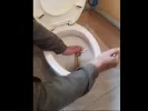 Φίδι στην Καστοριά
