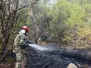 φωτιά στρατός