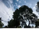 Καιρός 
